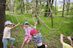 IMG_20260520_112540