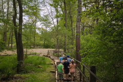 IMG_20260520_112554