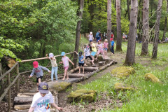 IMG_20260520_112622