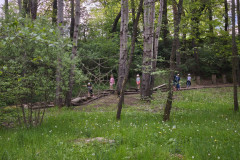IMG_20260520_112725