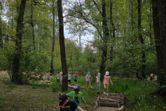 IMG_20260520_112800