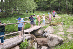 IMG_20260520_112923