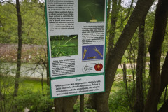 IMG_20260520_113233