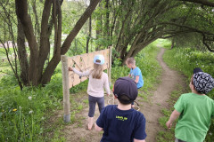 IMG_20260520_113239