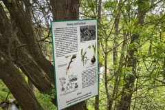 IMG_20260520_113300