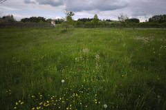 IMG_20260520_113358