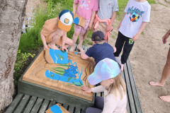 IMG_20260520_113534