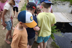 IMG_20260520_113625