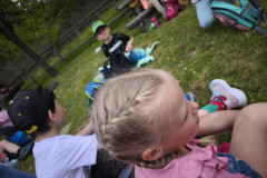 IMG_20260520_114318