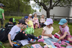 IMG_20260520_114450