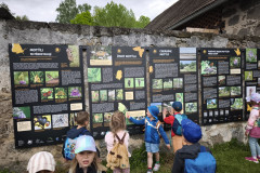 IMG_20260520_120955