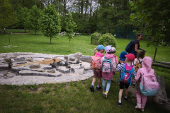 IMG_20260520_121527
