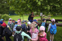 IMG_20260520_121535