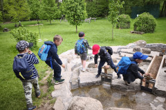 IMG_20260520_121620