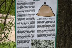 IMG_20260520_130244