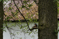 IMG_20260520_130857