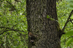 IMG_20260520_130942
