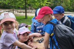 IMG_20260520_132733