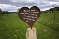 IMG_20260520_133224
