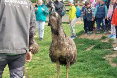 20250506_104647