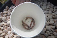 DSCN0429
