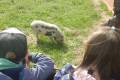 DSCN0436