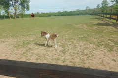 DSCN0446
