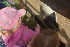 DSCN0447