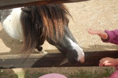 DSCN0448