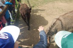 DSCN0450