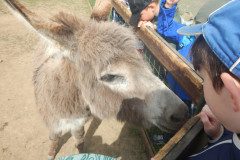 DSCN0451