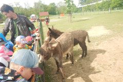 DSCN0455