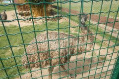 DSCN0461