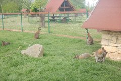 DSCN0468