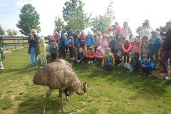 DSCN0469