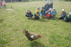 DSCN0477