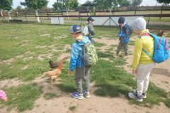 DSCN0478