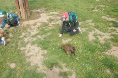 DSCN0480