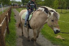 IMG_20250506_132217