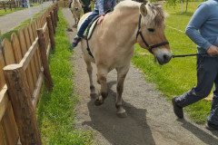 IMG_20250506_132416