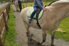 IMG_20250506_132417