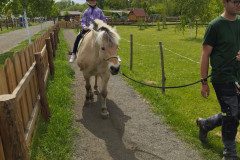 IMG_20250506_132425