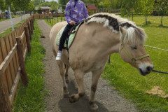 IMG_20250506_132427