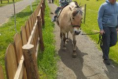 IMG_20250506_132623