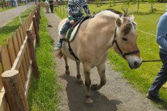 IMG_20250506_132624