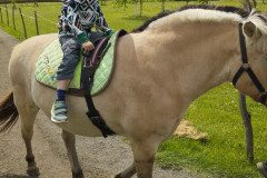 IMG_20250506_132625