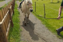 IMG_20250506_132644
