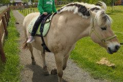 IMG_20250506_132646