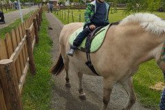 IMG_20250506_132751