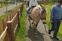 IMG_20250506_132825